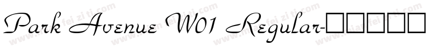 Park Avenue W01 Regular字体转换
